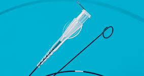 Delivery Catheters